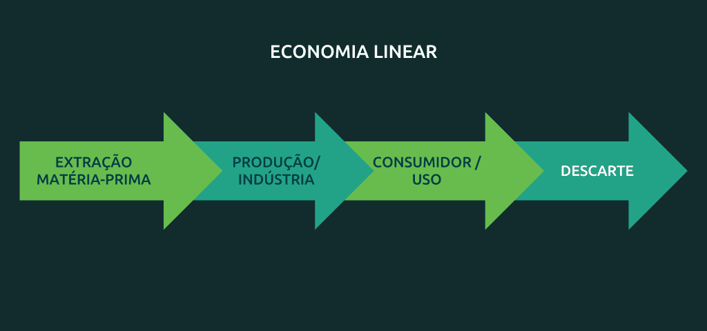 Economia linear