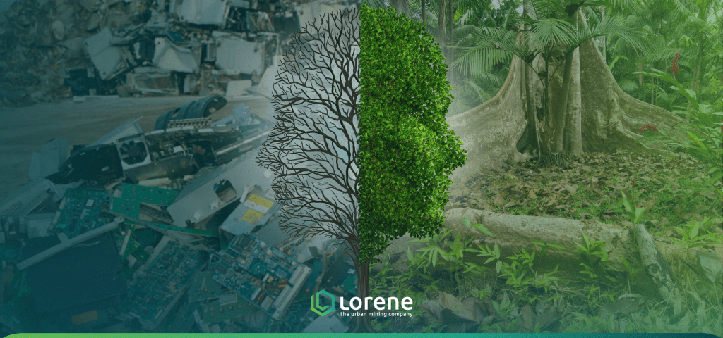 O Impacto Do Lixo Eletrônico No Meio Ambiente Lorene O Impacto Do Lixo Eletrônico No Meio Ambiente Lorene