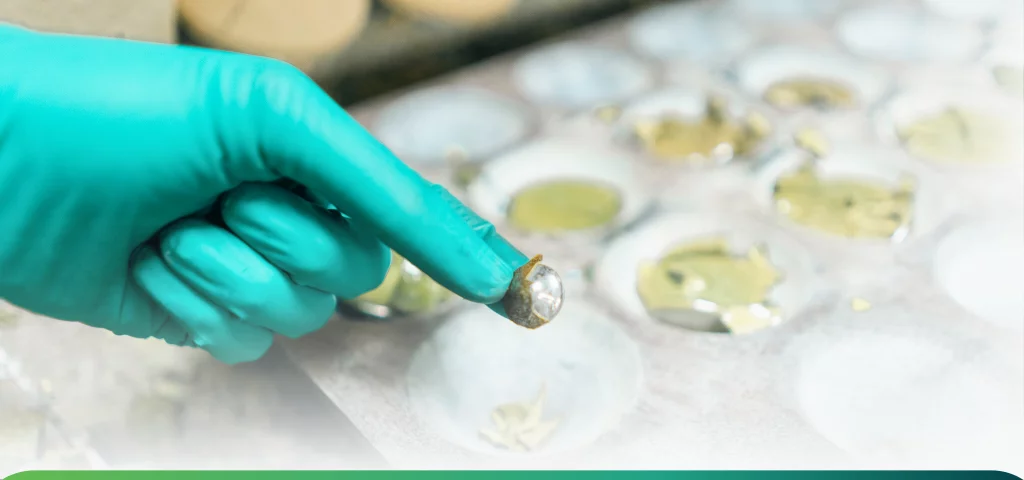 Análises laboratoriais na reciclagem de resíduos que contém metais preciosos